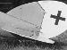 Detail tailplane. Pfalz D.XII 1491/18 (AL0181-021)